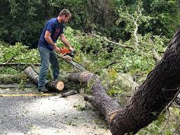 Seasonal Cleanup (Spring/Fall) in Gap, PA